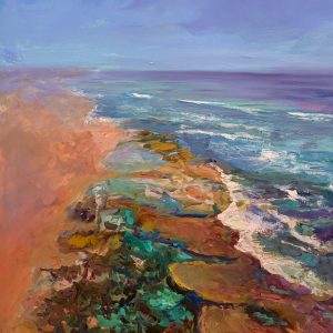 Sunlit Flight Over Rocky Shore