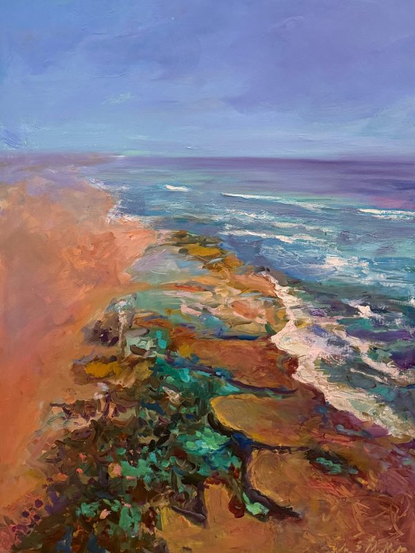 Sunlit Flight Over Rocky Shore