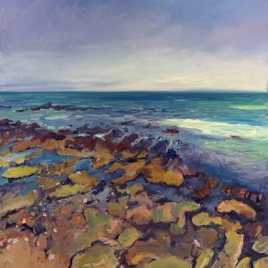Tide Pools of 13th Beach – Blue Horizon