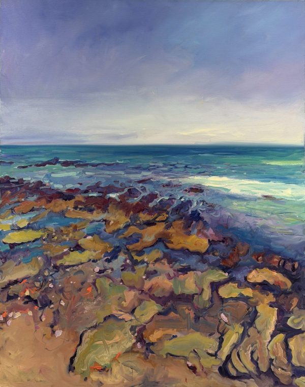 Tide Pools of 13th Beach – Blue Horizon
