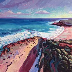 Flight Over the Surf — Bells Beach